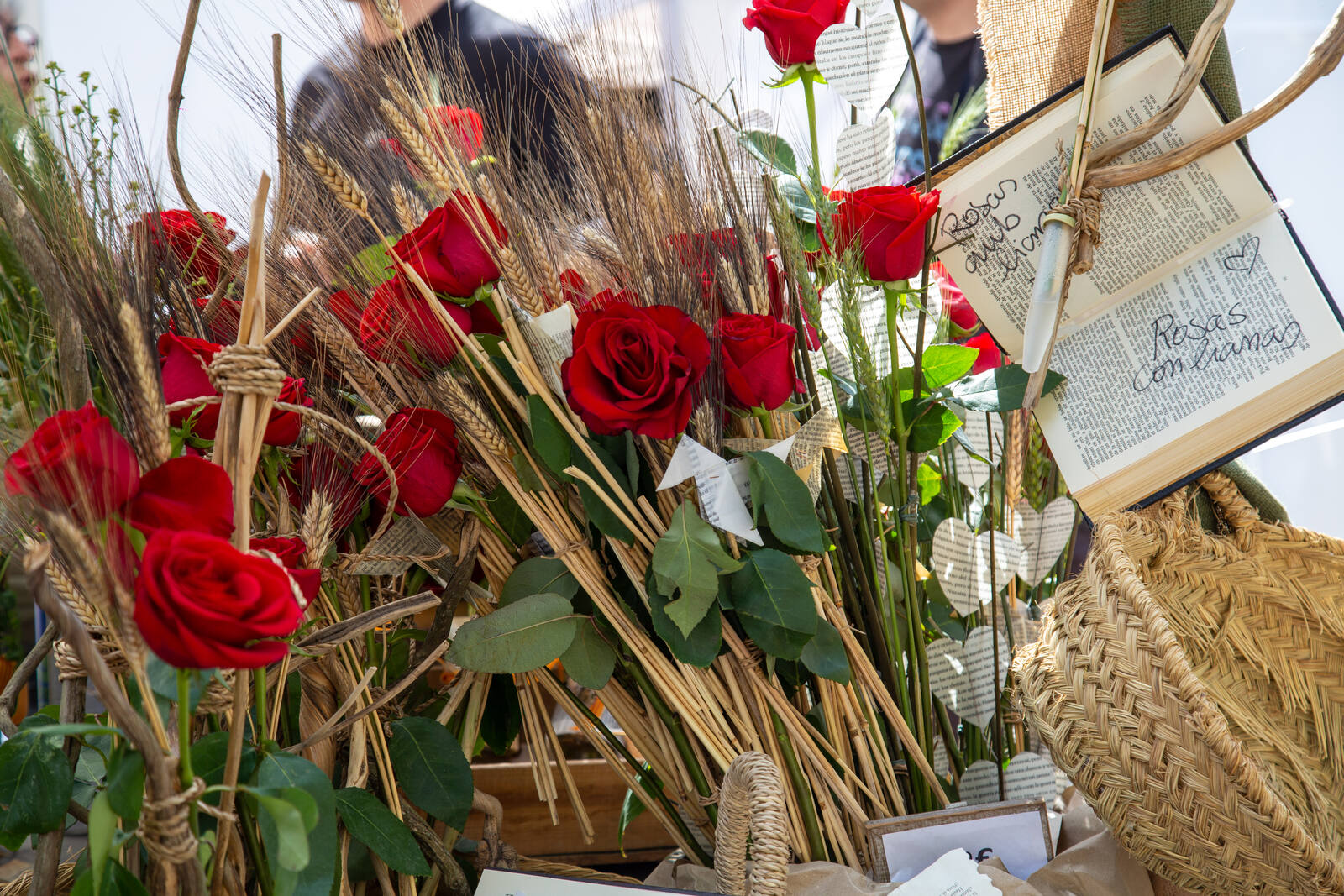 Rosas de Sant Jordi como parte de una actividad cultural en Barcelona