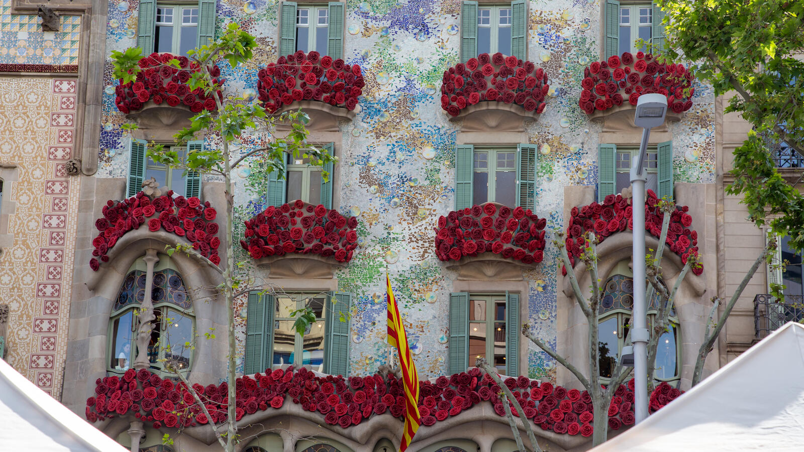 Day to day at BCNLIP